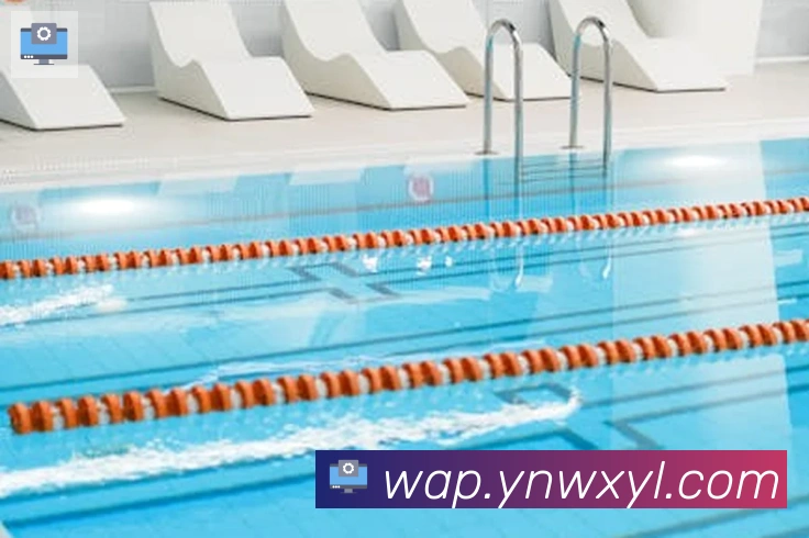 bsports体育在线登录品牌故事