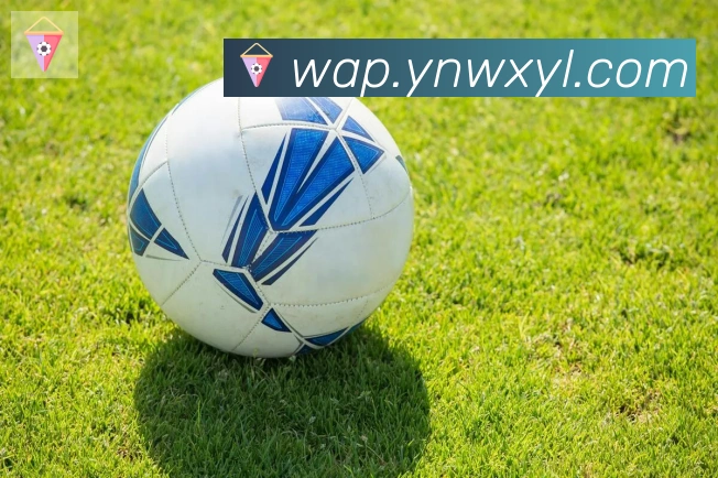 bsports体育在线登录APP 体育赛事宣传图