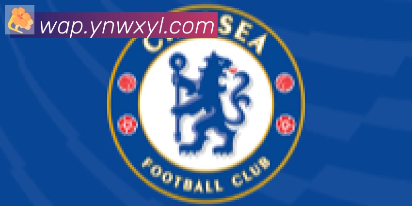 bsports体育在线登录合作伙伴