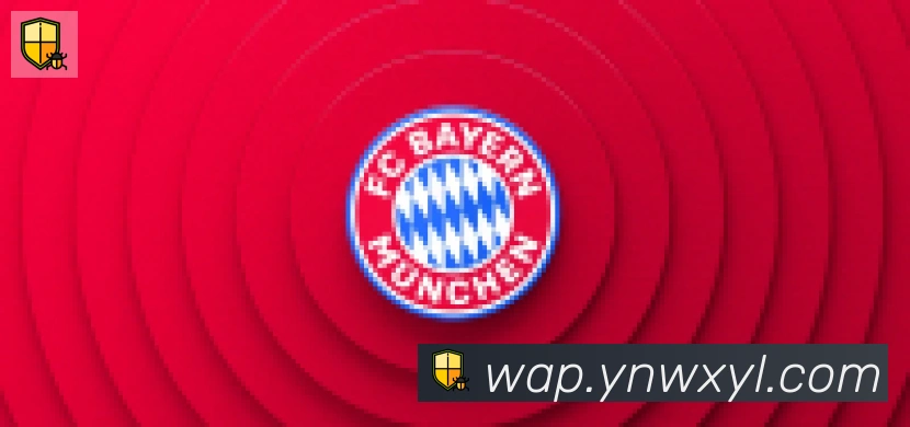 bsports体育在线登录合作伙伴