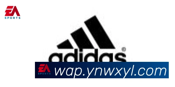 bsports体育在线登录合作伙伴