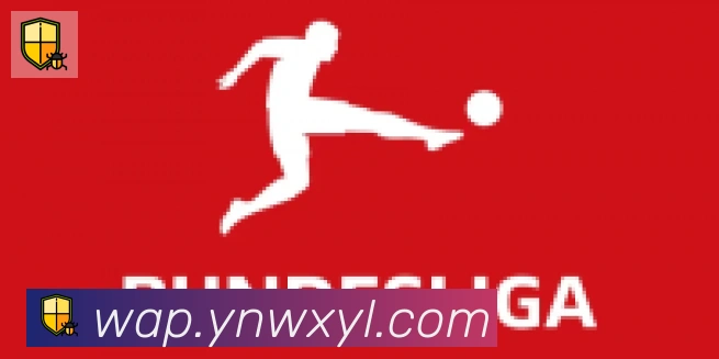 bsports体育在线登录合作伙伴